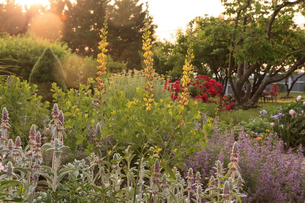 L'Auberge Provencale Inn & Restaurant Boyce Eksteriør billede